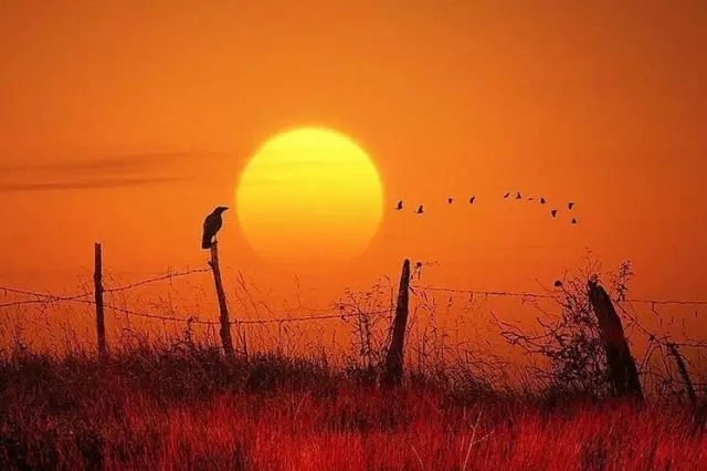 中庭人的一天！